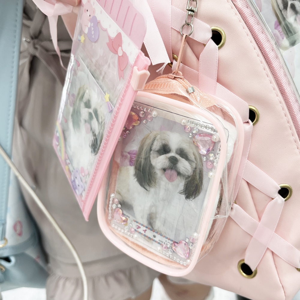 モデル犬のトレーディングカード♪